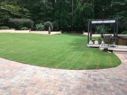 Nate and his team recently redid my entire backyard with grading, irrigation and new sod and my wife and I could not be