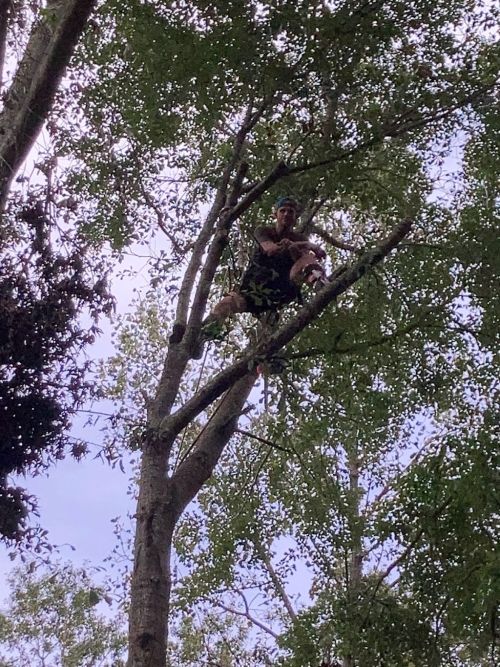  alt='Jason King is the best. We had our kitty climb about 65’ up a tree in back and couldn’t get down'