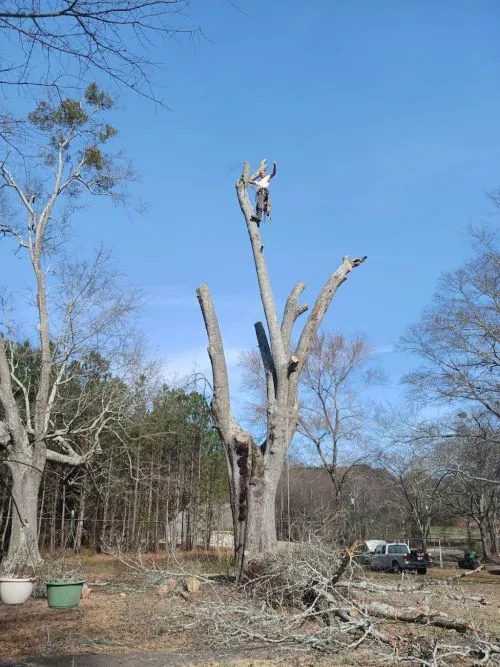 Jason King and his crew did an outstanding job clearing dead trees and underbrush from several areas in our neighborhood. 