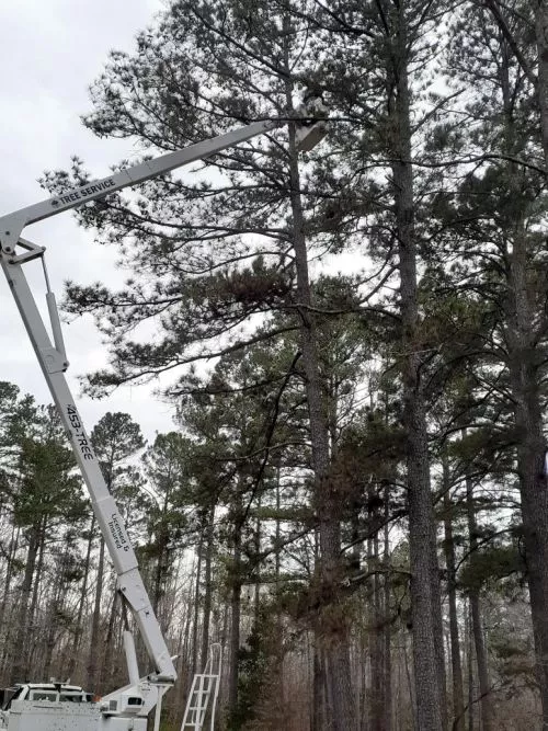 A 150 ft. oak tree fell and the top part landed on our home. Jerry came out that evening to assess what needed to be done,
