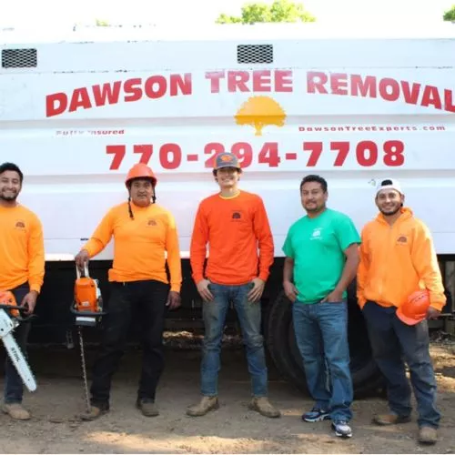 We had 10+ trees cut down and removed and a few were huge! This company is great to work with and very professional