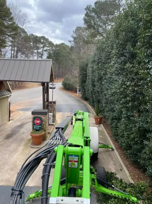 We can’t thank Eddie enough for the job he did for us removing several Leyland Cypress trees