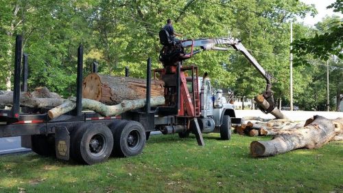  alt='We had two trees fall into our lake & another that was partially dead at the top'