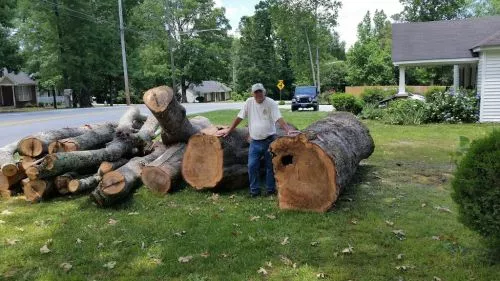 This company was great! They showed up on time with a large crew and removed the two very large trees with no issues