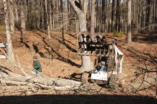 The folks at Mandella"s were absolutely top knotch when it came to removing a fallen tree and plenty of limb debris from my