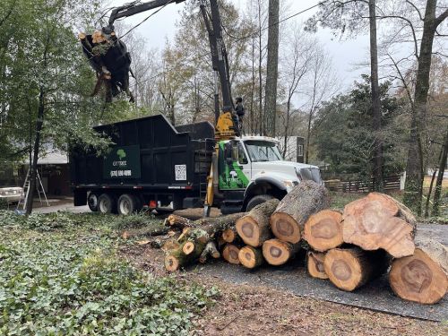  alt='Title: Exceptional Tree Cutting and Trimming Service Review: I recently hired GT Tree Experts to cut and trim the trees in'