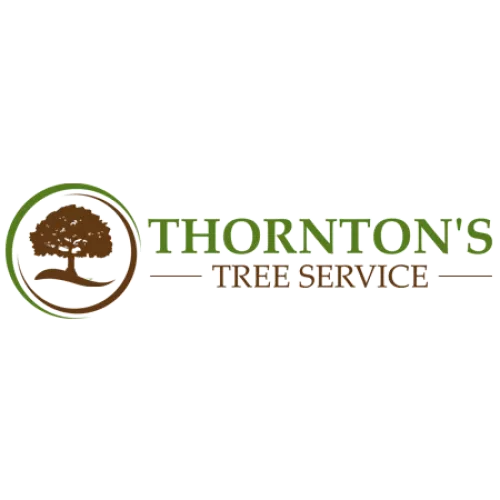 Thornton"s Tree Service did an outstanding job! From the time I called to get an estimate and talked to Morgan who was very